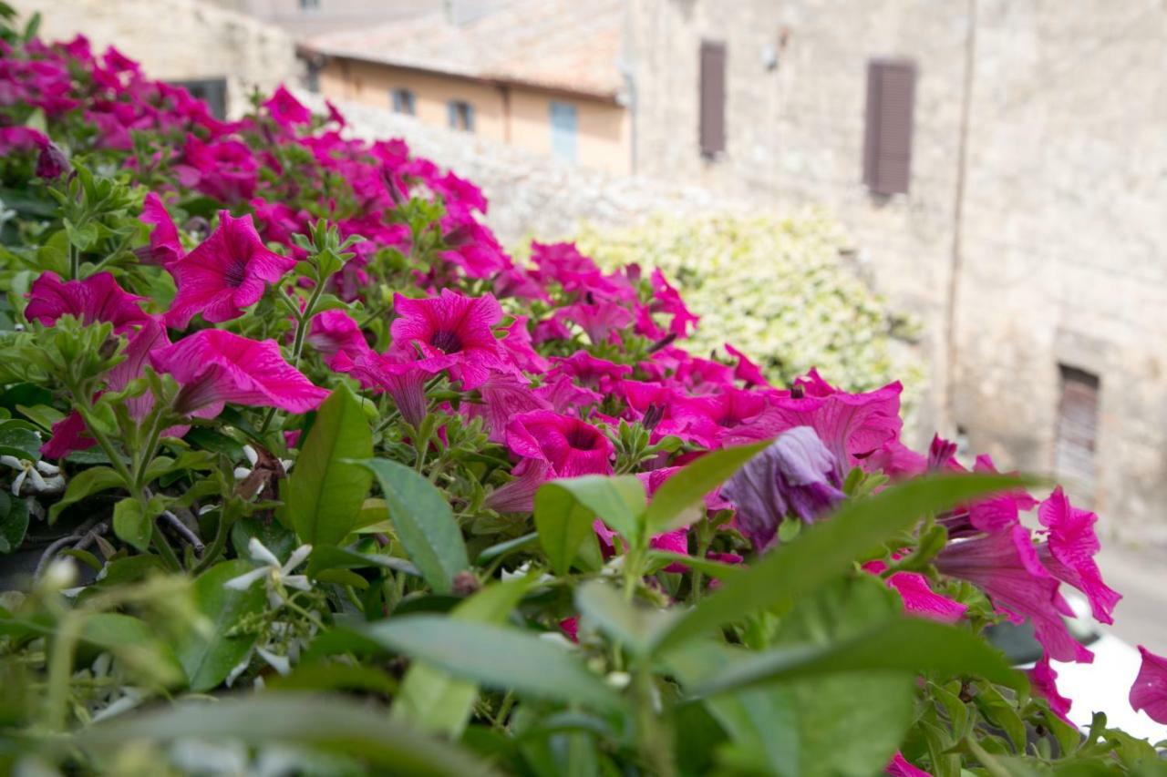 B&B Antiche Mura Tarquinia Exteriér fotografie